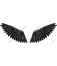 Majestic Wings