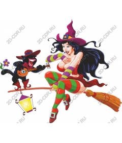  Fancy witch and cat