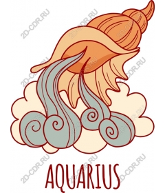 Shell Aquarius