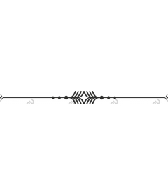  Elegant decorative border