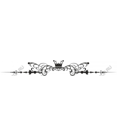 Exquisite decorative border with crown