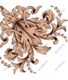  Elegant floral