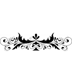  Elegant decorative flourish