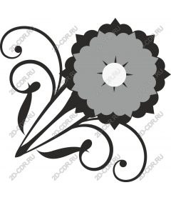Floral elegance