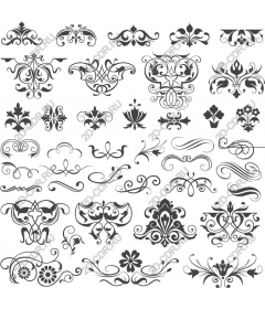  Elegant floral and ornamental collection