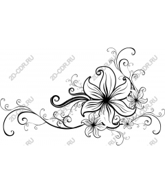  Elegant floral