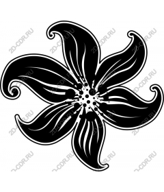  Elegant black flower
