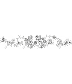  Elegant floral border