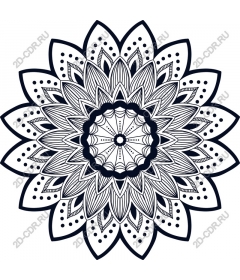 Elegant floral mandala