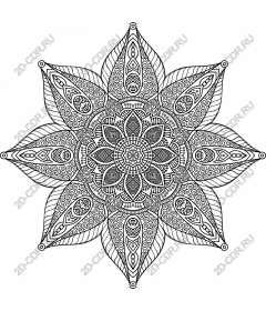 Intricate flower mandalas