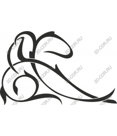  Elegant organic