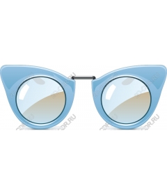  Sunglasses cat-eye