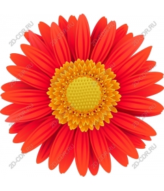  Bright red flower