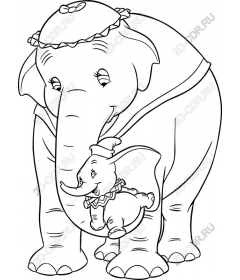  Adorable mom and baby elephant