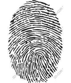  Fingerprint - Identification and safety