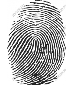  Fingerprint