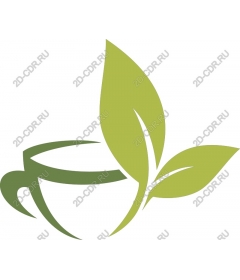 Fresh green Cup with leaves