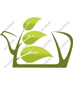  A green-tea maker