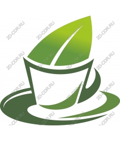 Green leaf in a pot