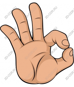 Perfect hand sign