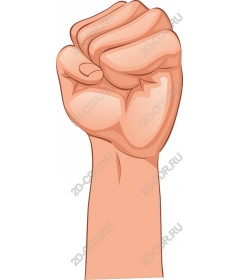 Authorized fist