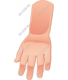  Human hand