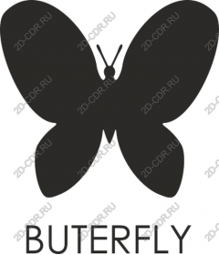  Elegant black butterfly