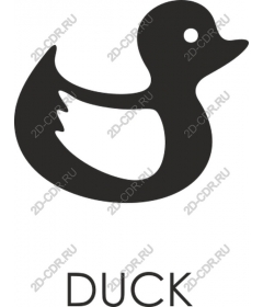  Duck