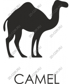  Camel - Элегантный минималистичный