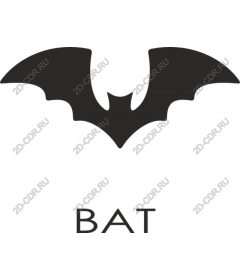  Elegant bat