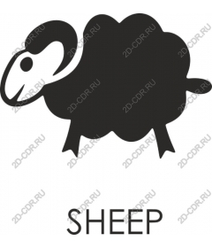 Sheep