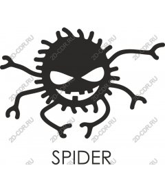 Playful spider