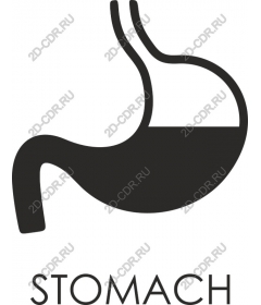  Stylized stomach