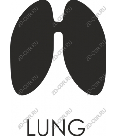  Human lung