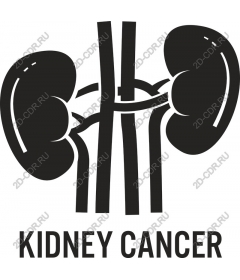  Awareness of kidney cancer