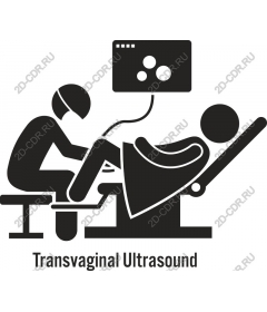  Transvaginal ultrasound