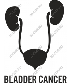  Awareness of bladder cancer