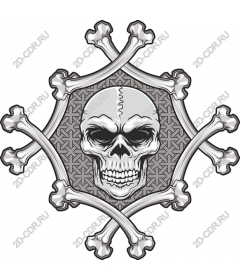  Emblem Skull and crossbones