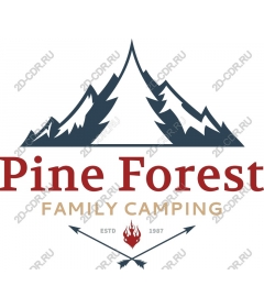  Family camping Pine Forest