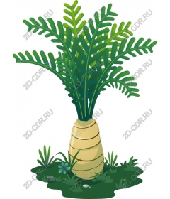 Tropical plant