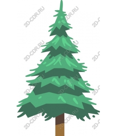 Coniferous tree
