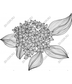  Charming floral line drawing