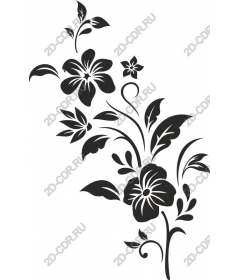  Elegant floral