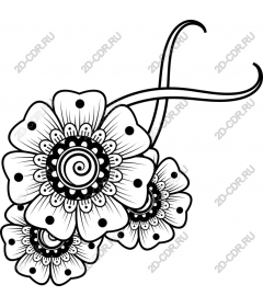  Elegant floral