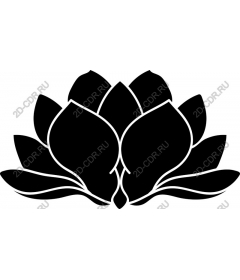 Lotus flower