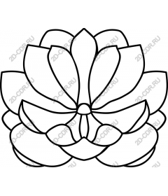 Lotus Flower