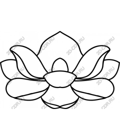 Lotus Flower