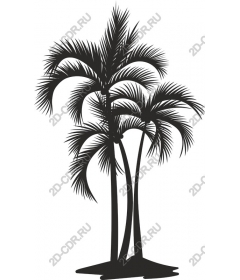Tropical palm trio