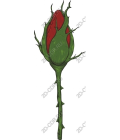  Charming spiked rose