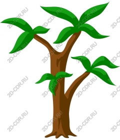Tropical tree